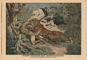 Marquis de Barthélemy blessé par un tigre, illustration de 